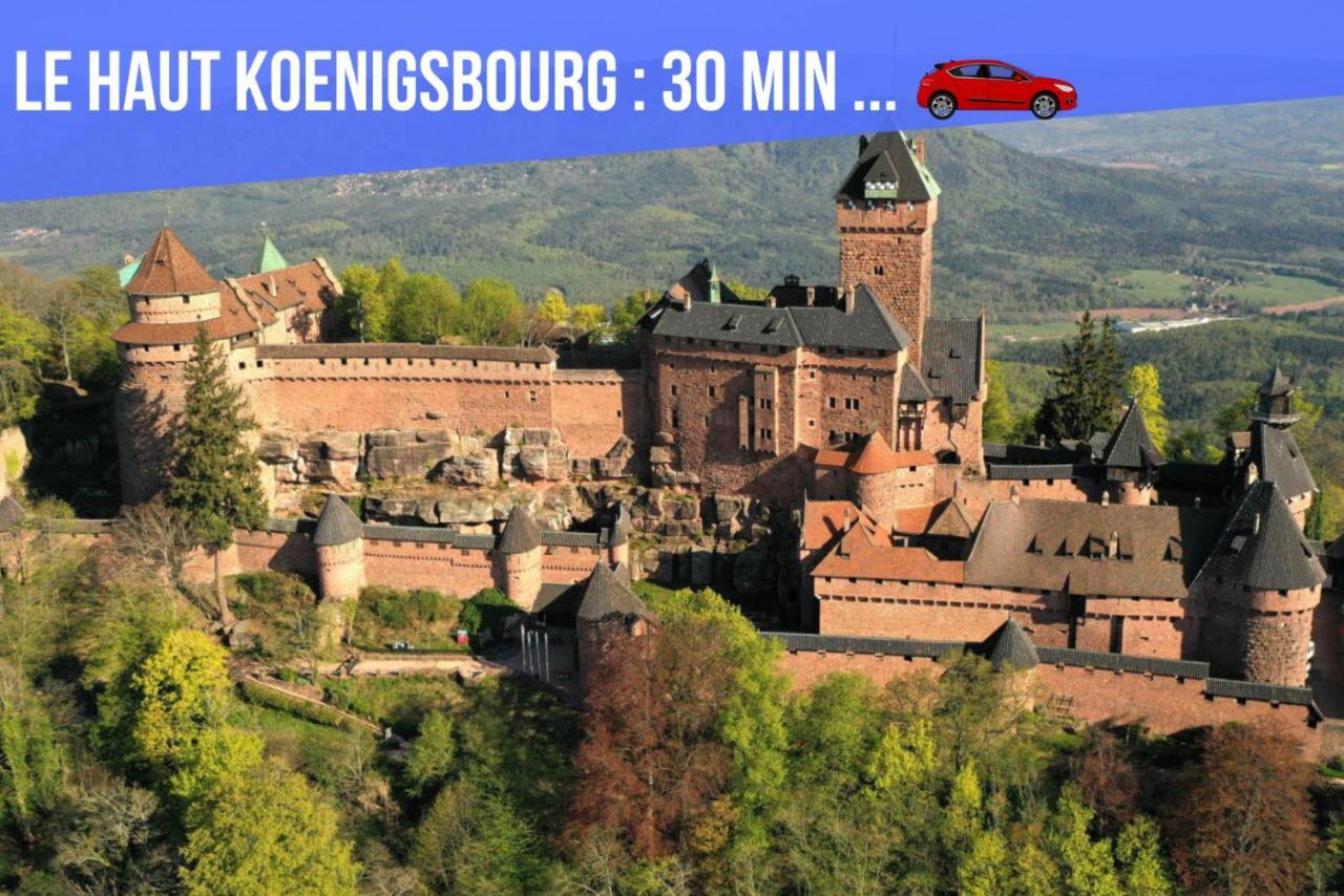 Le Red St Leon : Lit Queen Size * Wifi * Ideal Couple Colmar Dış mekan fotoğraf