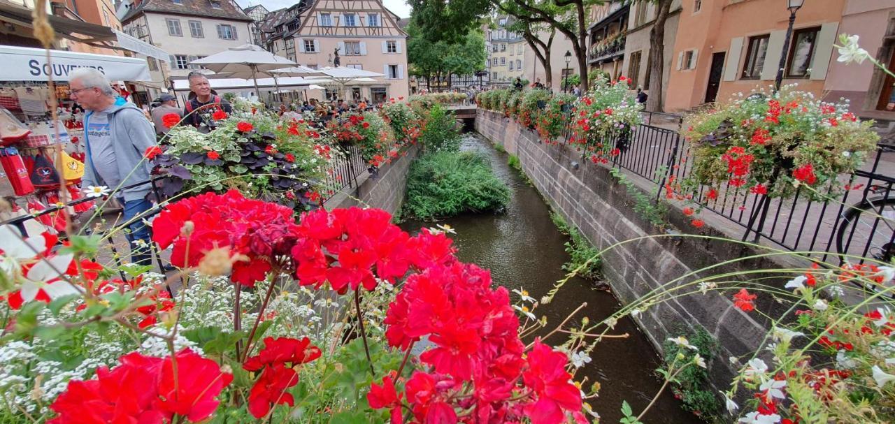 Le Red St Leon : Lit Queen Size * Wifi * Ideal Couple Colmar Dış mekan fotoğraf